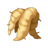Big Root