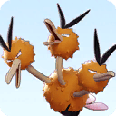 Dodrio