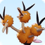 Dodrio