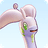 Goodra